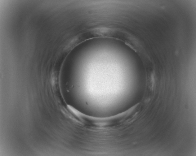 X0000082930284200702011248