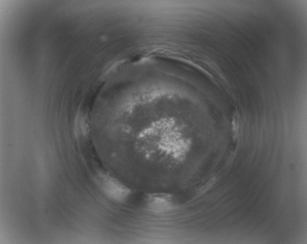 X0000082930285200702011248