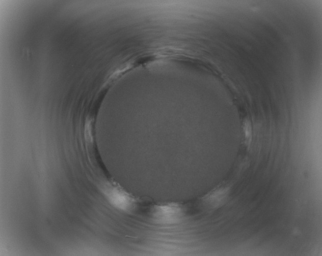 X0000082930286200702011248