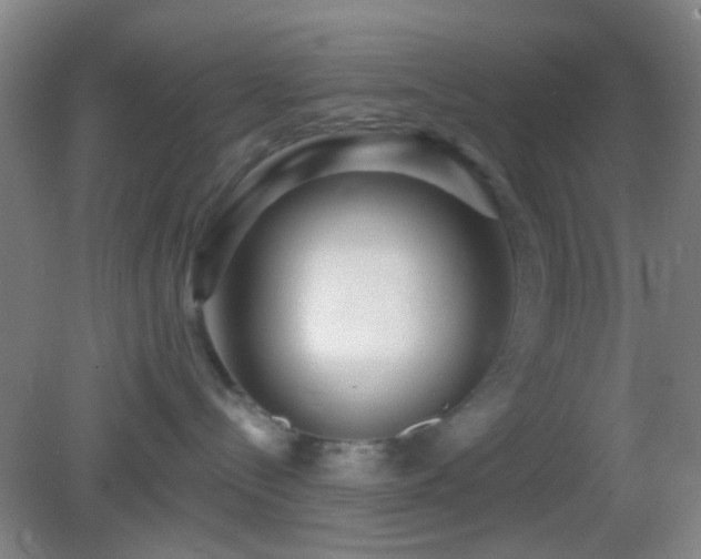 X0000082930288200702011248