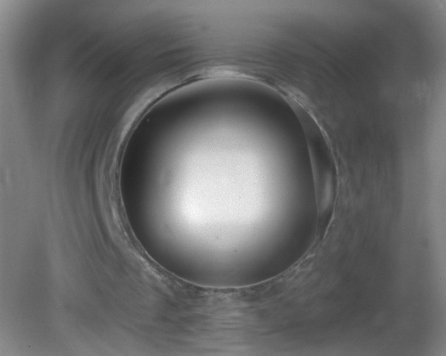 X0000082930289200702011247