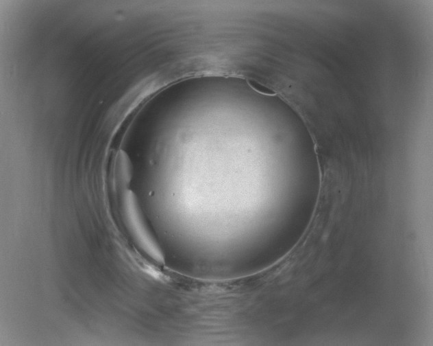 X0000082930290200702011247