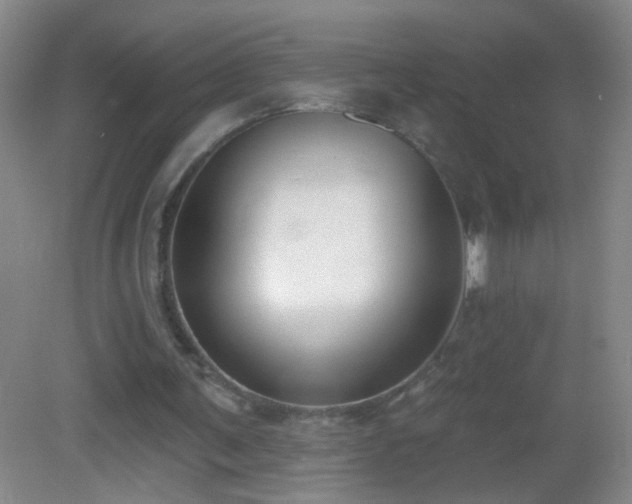 X0000082930291200702011247