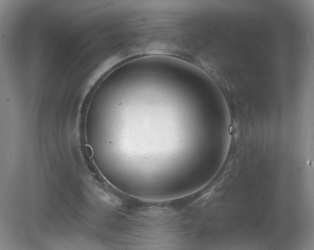 X0000082930292200702011247