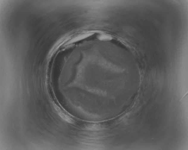 X0000082930293200702011247