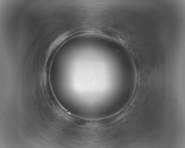 X0000082930294200702011247