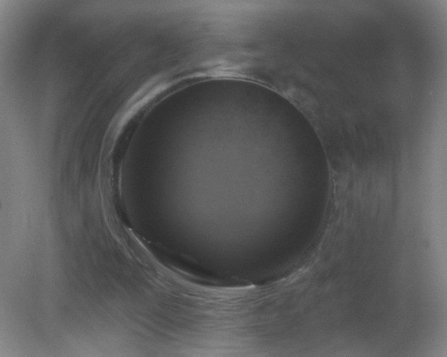 X0000082930295200702011247