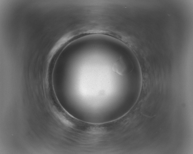 X0000082930296200702011247