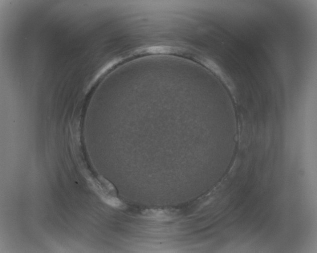 X0000082930297200702011247