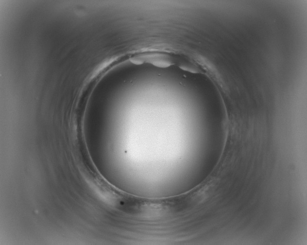 X0000082930298200702011247