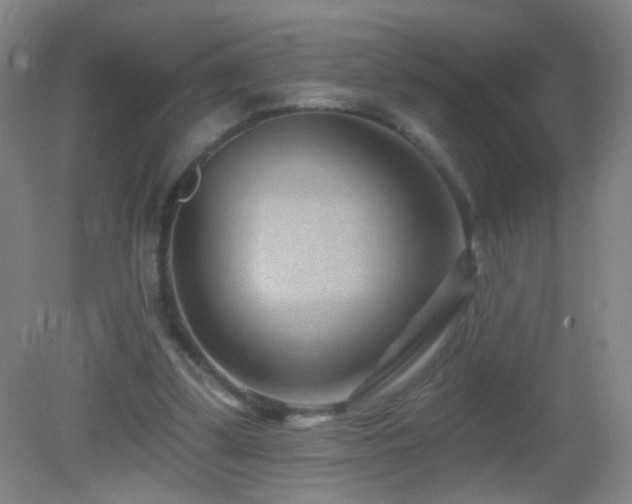 X0000082930299200702011247