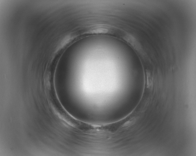 X0000082930300200702011247