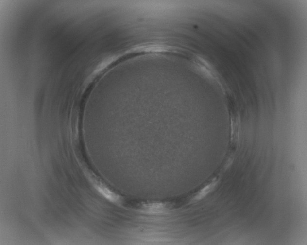 X0000082930301200702011247