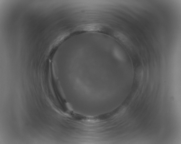 X0000082930303200702011247