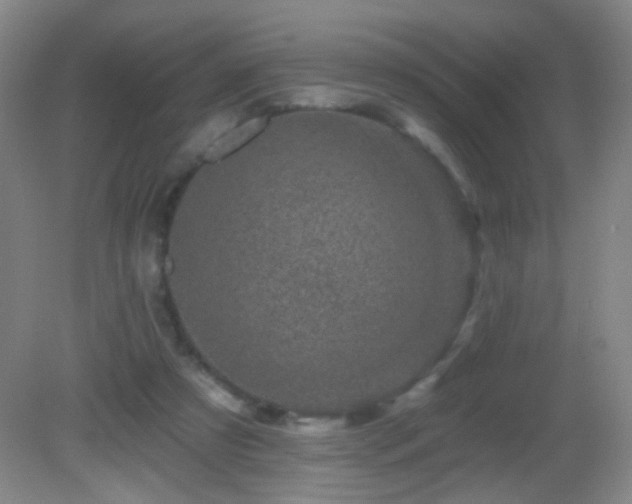 X0000082930305200702011247