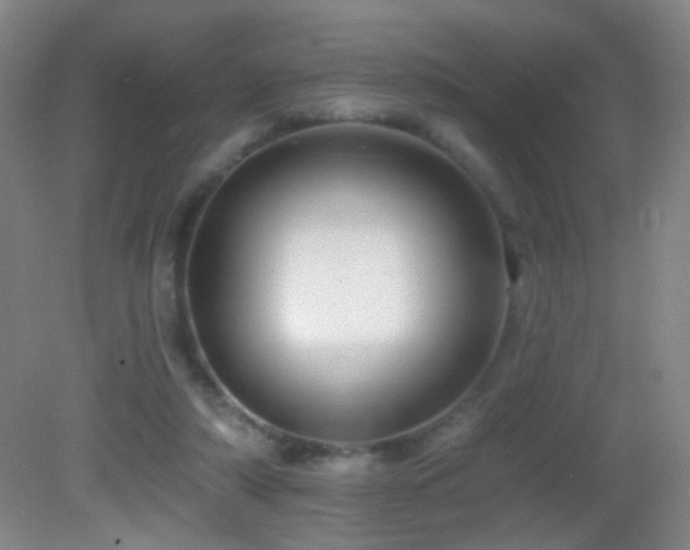 X0000082930306200702011247