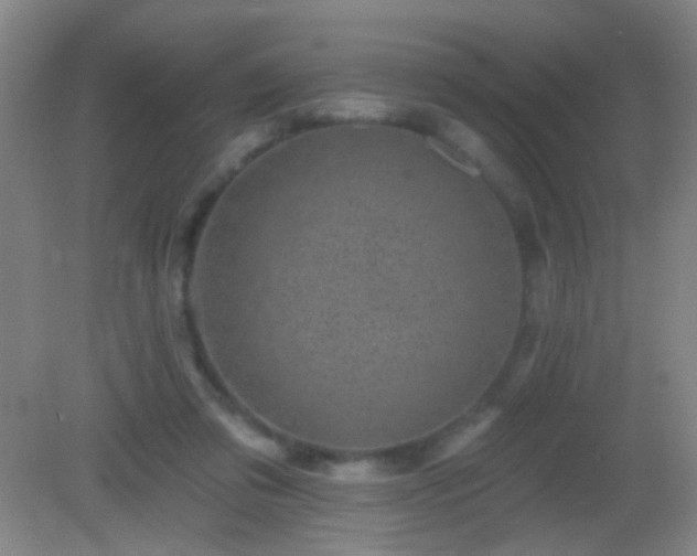 X0000082930309200702011247