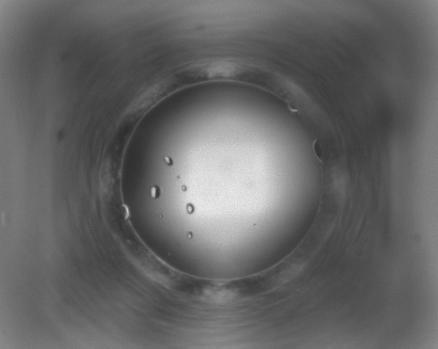 X0000082930311200702011246