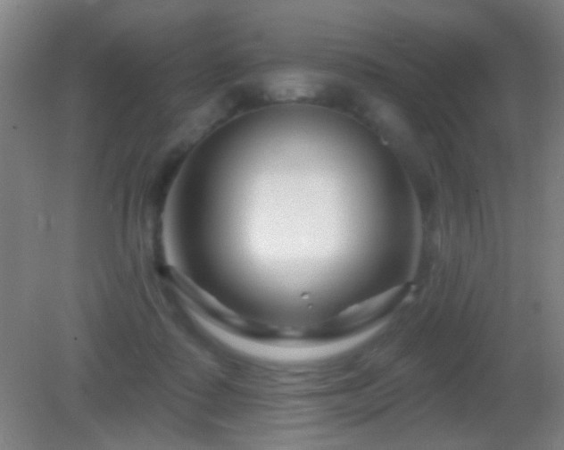 X0000082930315200702011246