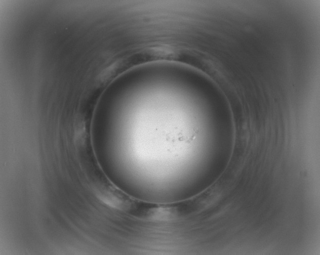 X0000082930320200702011246