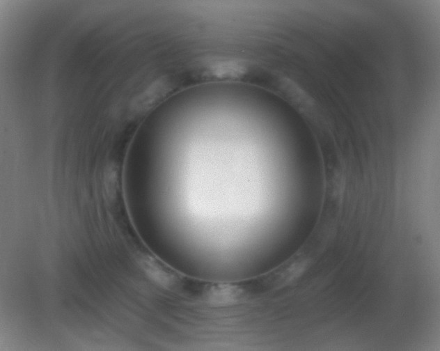 X0000082930321200702011246