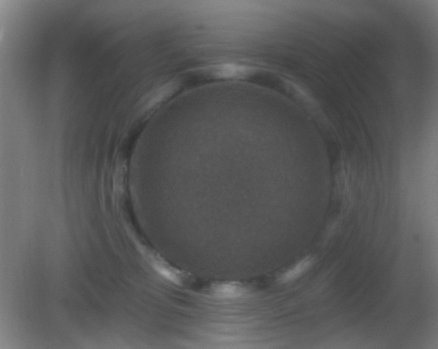 X0000082930325200702011246