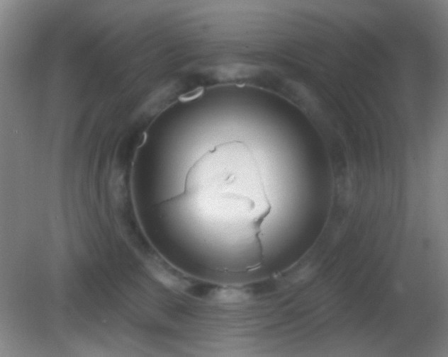 X0000082930327200702011246