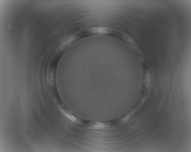 X0000082930330200702011246