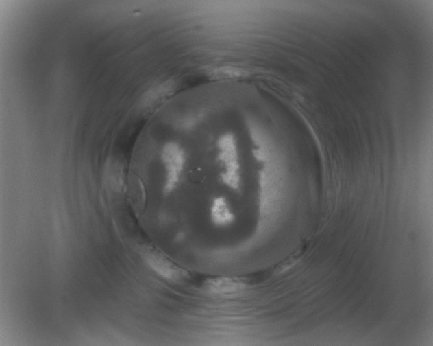 X0000082930331200702011246