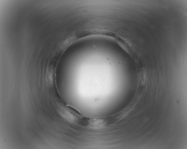 X0000082930334200702011246