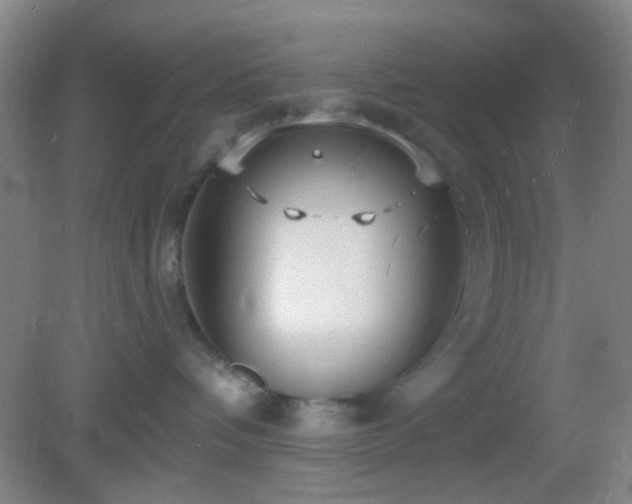 X0000082930336200702011246