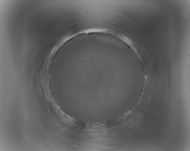 X0000082930337200702011245