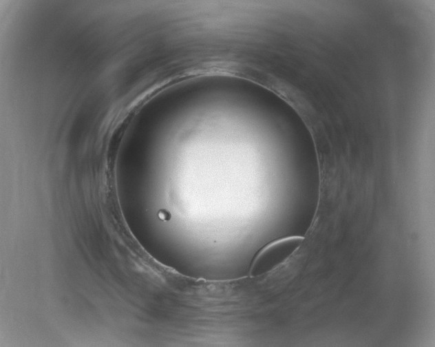 X0000082930338200702011245