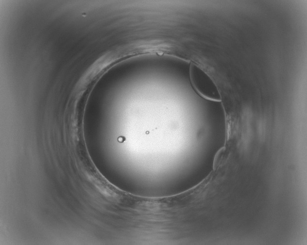 X0000082930339200702011245