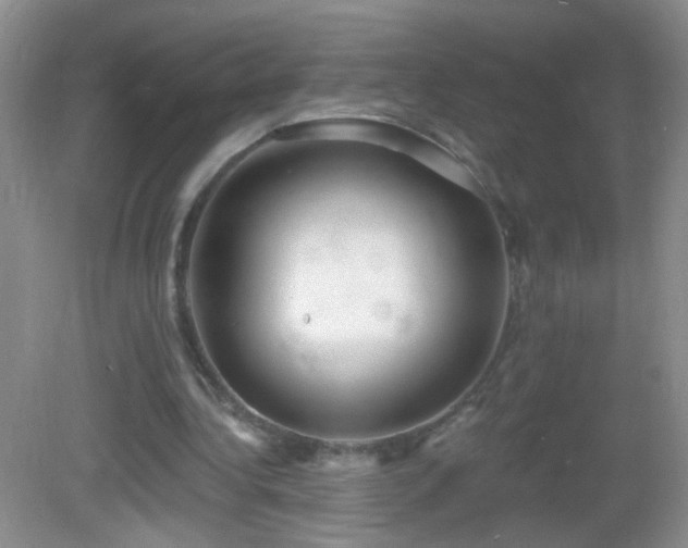 X0000082930340200702011245