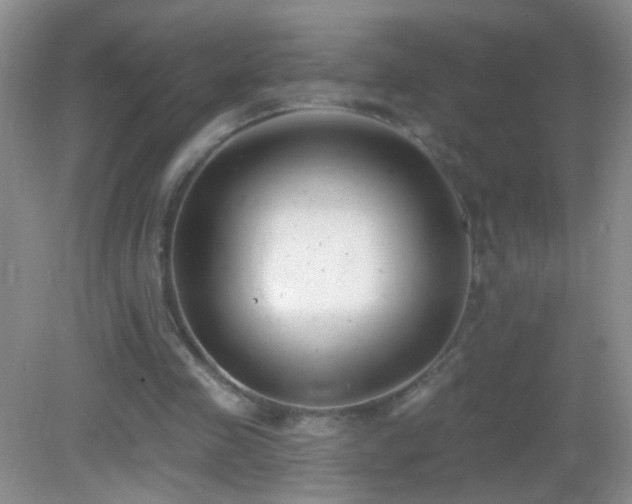 X0000082930341200702011245