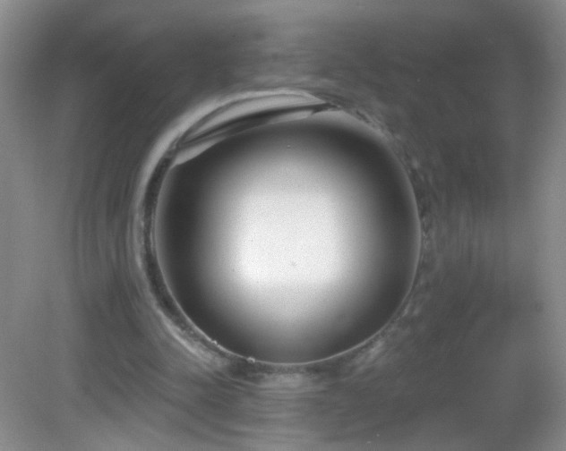 X0000082930342200702011245