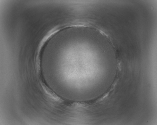 X0000082930343200702011245