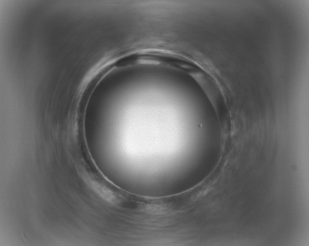 X0000082930344200702011245