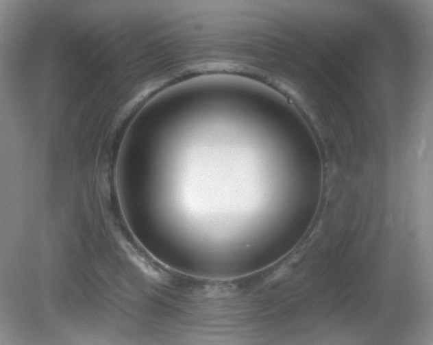 X0000082930345200702011245