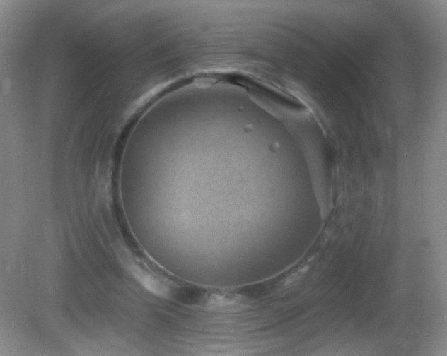 X0000082930346200702011245