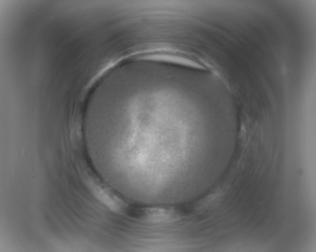 X0000082930347200702011245