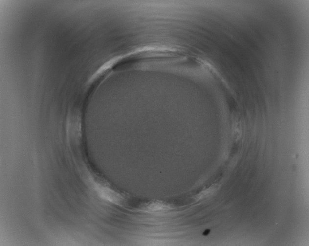 X0000082930348200702011245