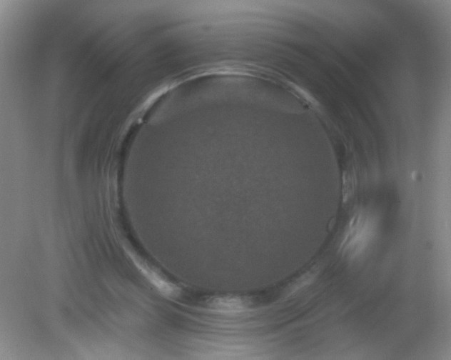 X0000082930349200702011245