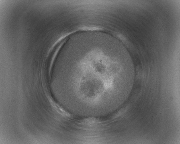 X0000082930351200702011246