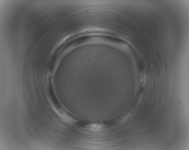 X0000082930352200702011246