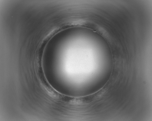 X0000082930354200702011246