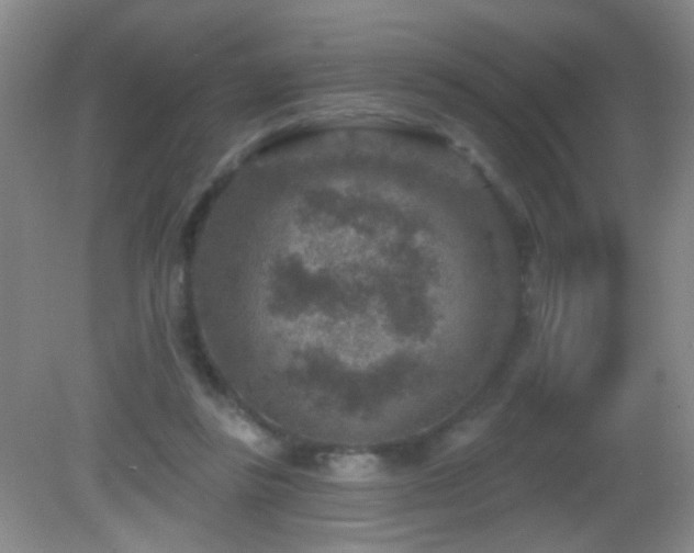 X0000082930355200702011246