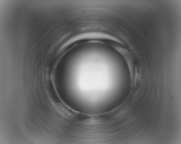 X0000082930356200702011246