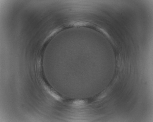 X0000082930357200702011246